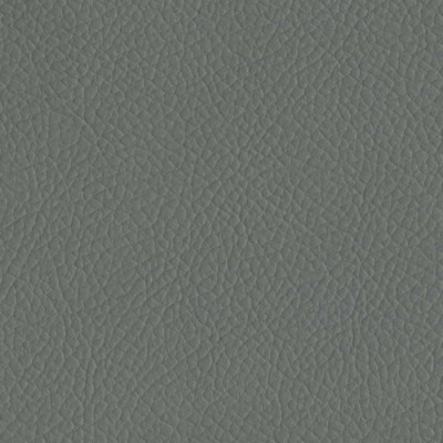 Оббивка для дверей (ГЛАДКА) Сіра (1м*2,05)