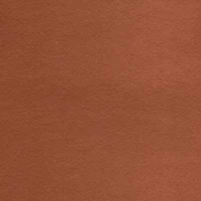 Оббивка для дверей (ГЛАДКА) Горіх (св. кор.) (1м*2,05)