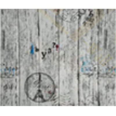 Панель ПЕТ вспінений 700*770*5мм 