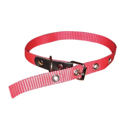 Нашийник EXOTIC  1.6см(синтетика) МІКС, довж. 39см HappyPets/10шт