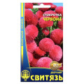 (631)Квіти Насіння Стокротка червона 0,1г /уп. 10шт СВИТЯЗЬ
