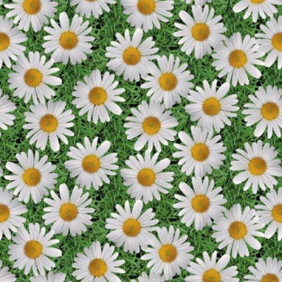 Клейонка WF-6619А ПВХ 1,35х25м Китай