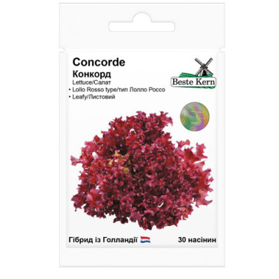 Салат Конкорд F1 Насіння 30шт /уп. 5шт Beste Kern