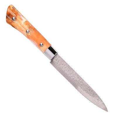 Ніж кухонний 24,5см (лезо 12,5см)/R100223