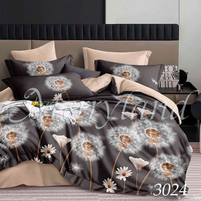 К-т пост. білизни двоспальне /3024 ранфорс MERRYLAND(пр180*215, под. 180*215, нав. 70*70*2)