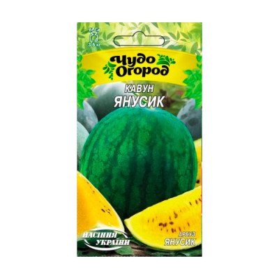 Кавун Янусік 1г 