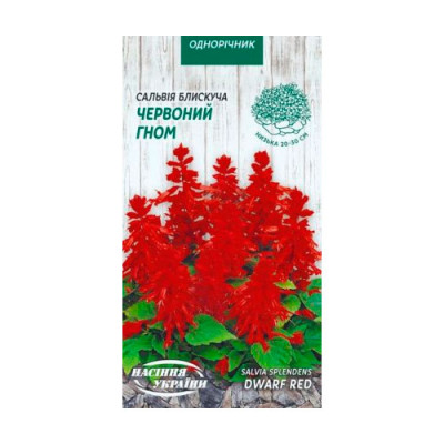 Сальвія Блискуча Червоний Гном 0,2г Насіння 