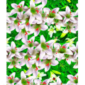 Клейонка НТМ/ТТ-4612А силікон 1,35*30м Китай